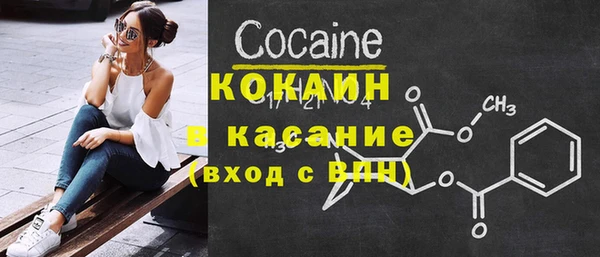 крисы Абаза