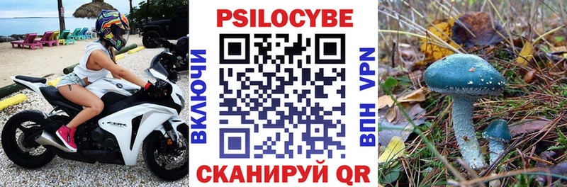 Галлюциногенные грибы Psilocybe Зубцов